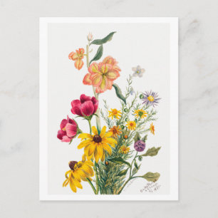 Bouquet of Flowers Botanical Illustration Postcard