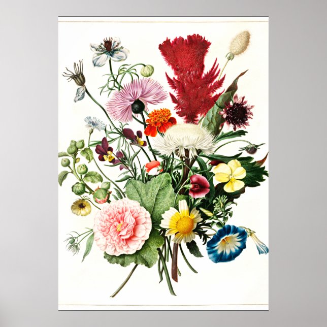 Bouquet of Flowers vintage illustration Poster (Front)