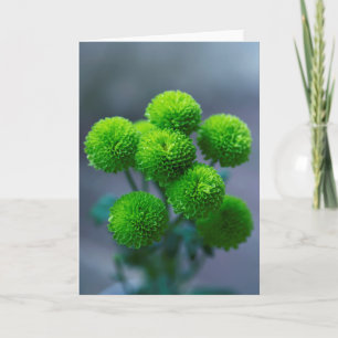 Bouquet of Green Santini Chrysanthemum Flowers Card