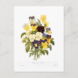 Bouquet of pansies by Pierre-Joseph Redouté Postcard