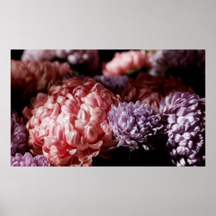 Bouquet of pink with purple aster flowers in light poster
