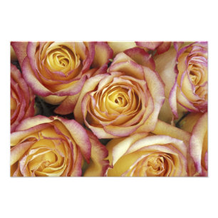 Bouquet of roses photo print