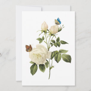 Bouquet of White Roses with Butterflies Invitation