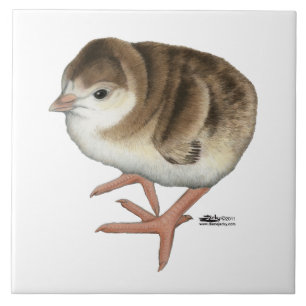 Bourbon Red Turkey Poult Tile