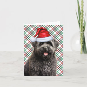 Bouvier Christmas Dog Green Red Plaid Christmas Holiday Card