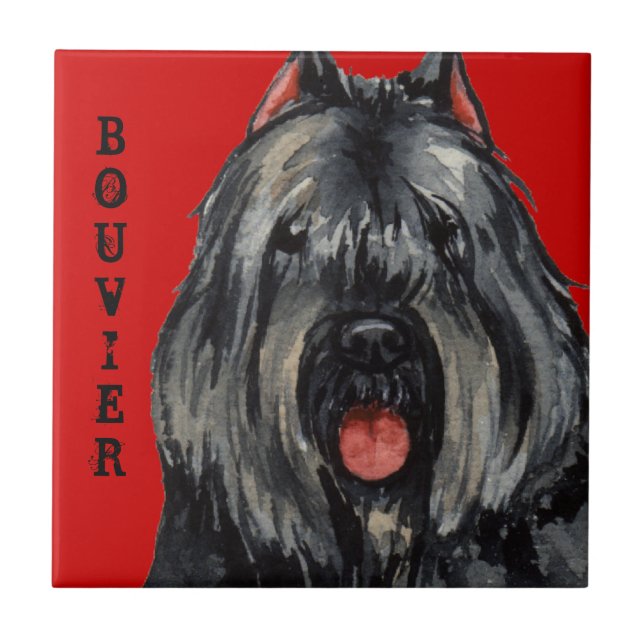 Bouvier Colour Block Ceramic Tile (Front)