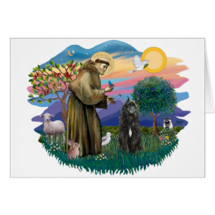 Bouvier des Flandres (black)