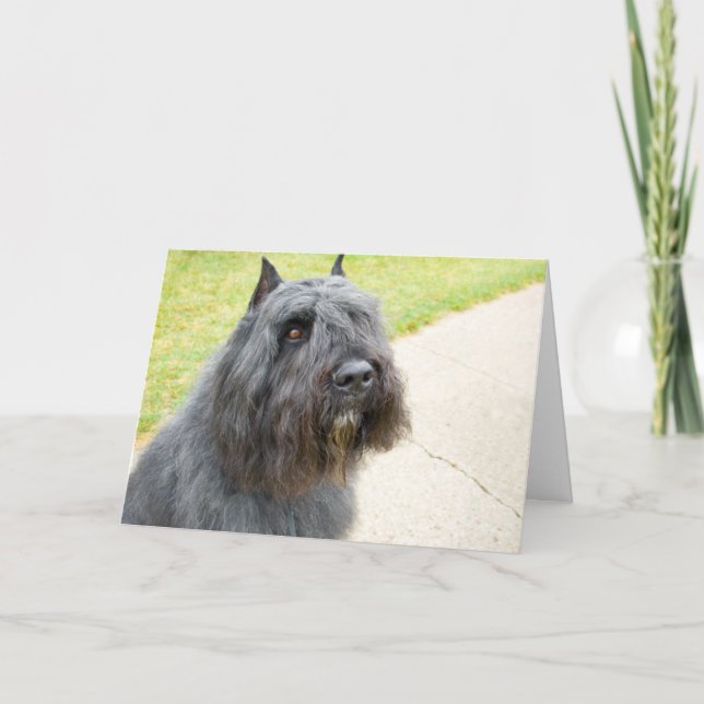 Bouvier des Flandres Card (Front)