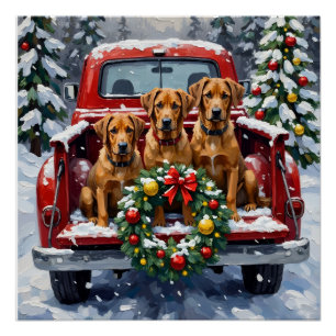 Bouvier des Flandres Christmas Red Truck Holiday Poster