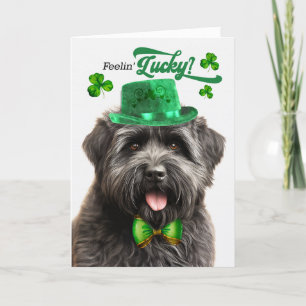 Bouvier des Flandres Dog Lucky St Patrick's Day Holiday Card