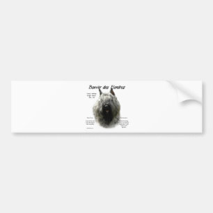 Bouvier des Flandres History Design Bumper Sticker