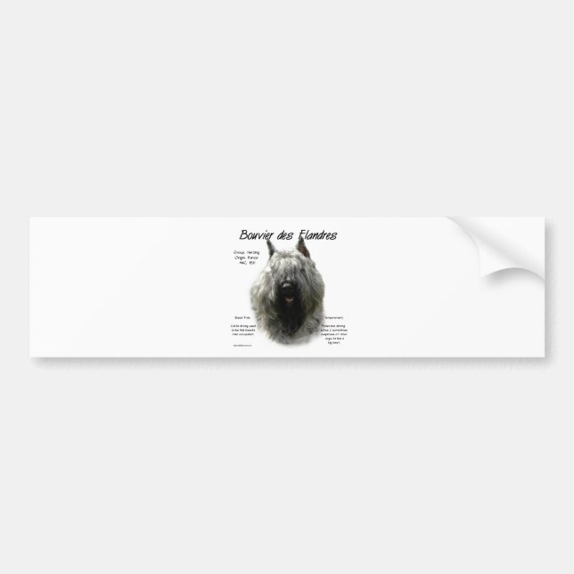 Bouvier des Flandres History Design Bumper Sticker (Front)
