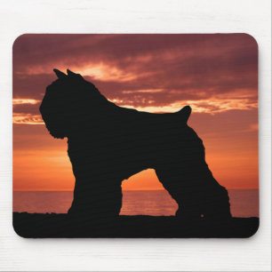Bouvier des Flandres Mouse Pad