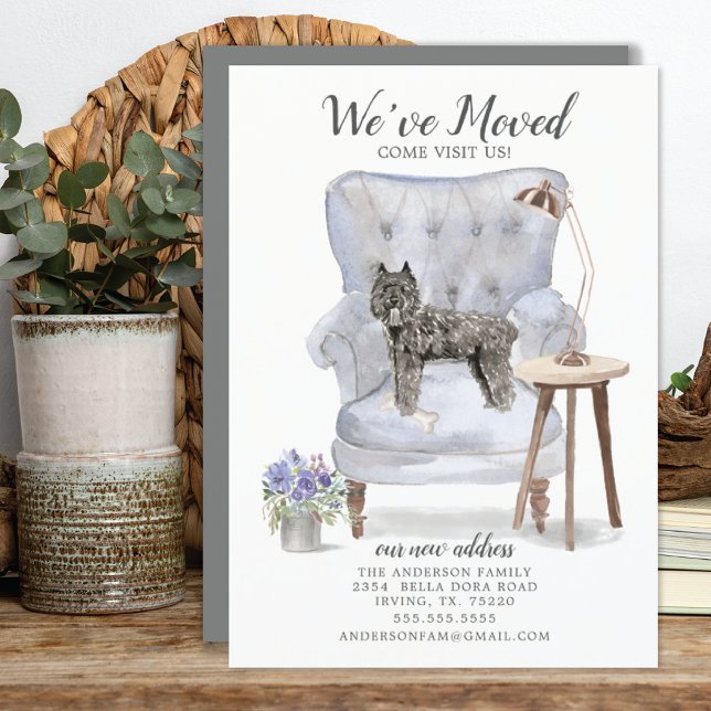 Bouvier des Flandres Moving Announcement (Creator Uploaded)