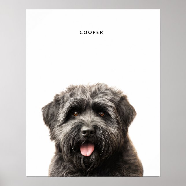 Bouvier Des Flandres Personalised Print (Front)