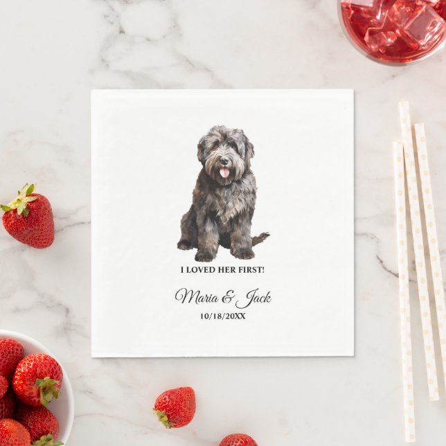 Bouvier des Flandres Pet Cocktail Wedding  Napkin (Insitu)