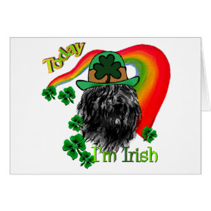 Bouvier des Flandres St Patricks