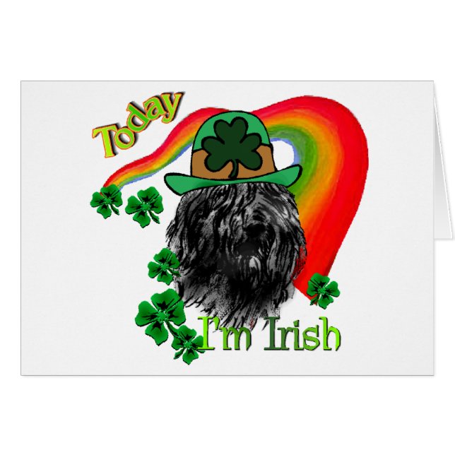 Bouvier des Flandres St Patricks (Front Horizontal)