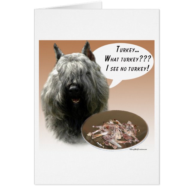 Bouvier des Flandres Turkey (Front)