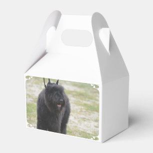 Bouviers des Flanders Favour Box