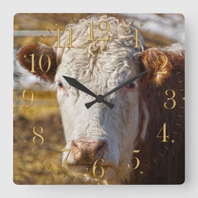 Bovine Beauty - Cattle Square Wall Clock (Front)