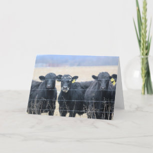 Bovine Bystanders Card