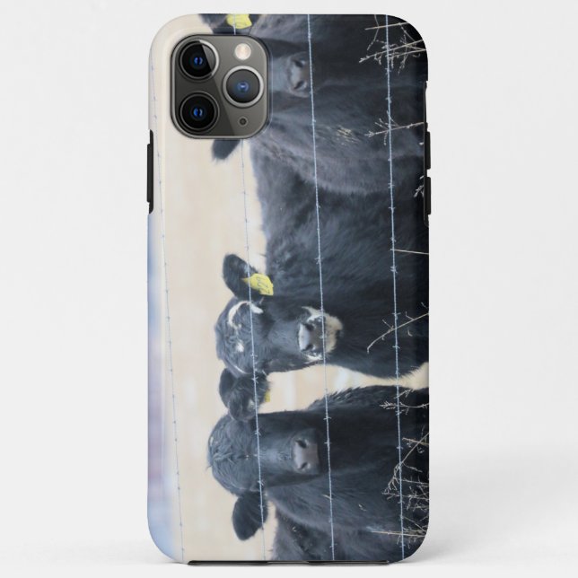 Bovine bystanders Case-Mate iPhone case (Back)