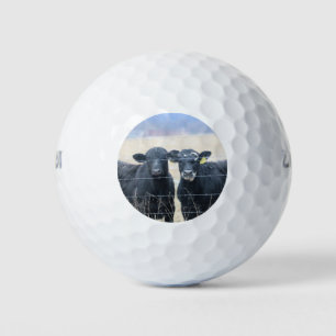 Bovine bystanders golf balls