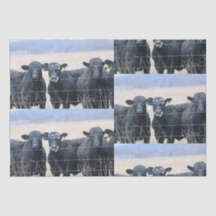 Bovine bystanders tissue paper