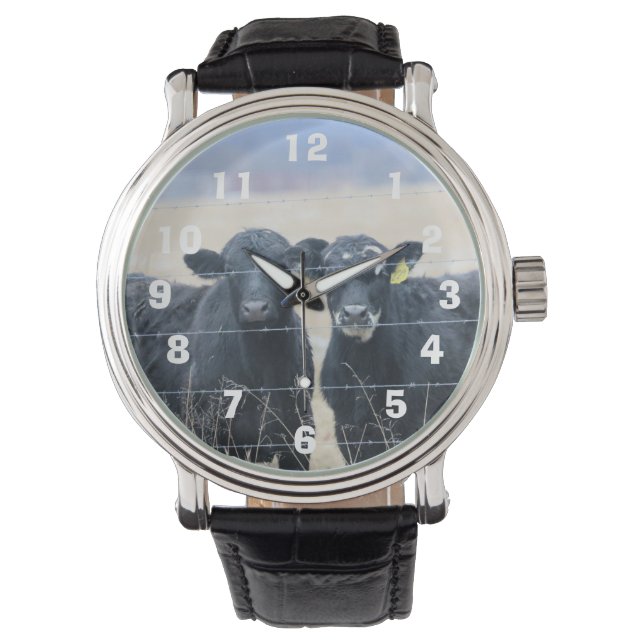 Bovine bystanders watch (Front)