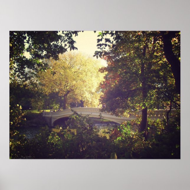 Bow Bridge Framed By Trees,Central Park, Medium Poster (Front)