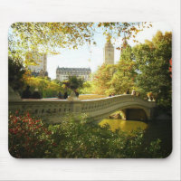 Bow Bridge in Autumn, Central Park, New York City