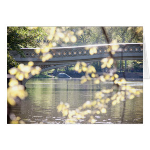 Bow Bridge in Summer