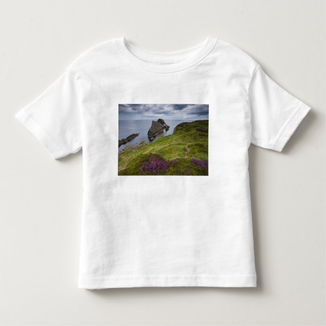 Bow Fiddle Rock, Portknockie, Scotland Toddler T-Shirt (Front)