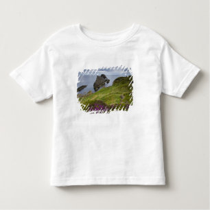 Bow Fiddle Rock, Portknockie, Scotland Toddler T-Shirt