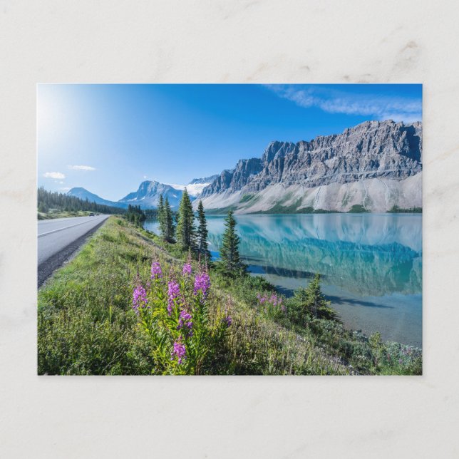 Bow Lake Banff Mountain Reflections Postcard (Front)