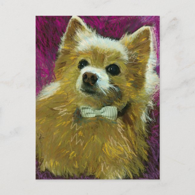 Bow Tie #2 Postcard (Front)