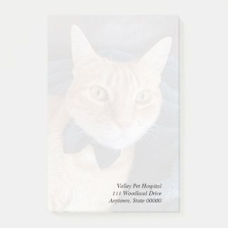 Bow tie cat post-it notes