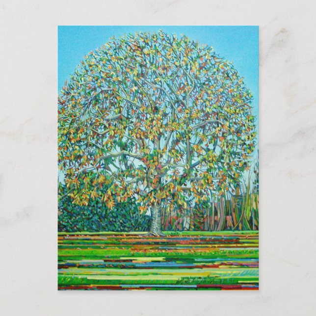 Bow Tree Autumn Postcard (Front)