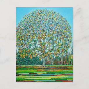 Bow Tree Autumn Postcard
