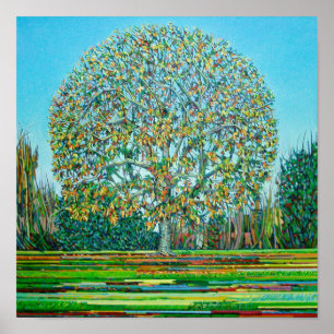 Bow Tree Autumn Poster