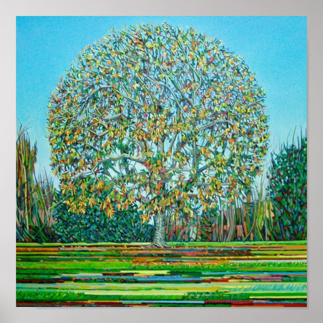 Bow Tree Autumn Poster (Front)