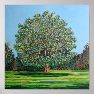 Bow Tree Summer Poster