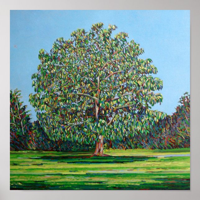 Bow Tree Summer Poster (Front)