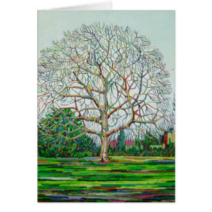 Bow Tree Winter
