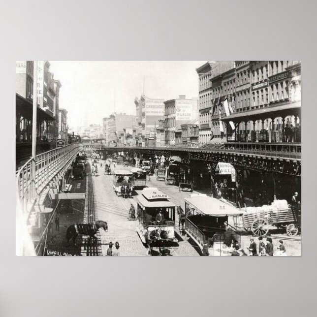 Bowery at Canal Street New York City 1895 Poster (Front)