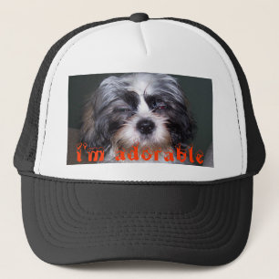 Bowie the Fuzzy Shih Tzu i'm adorable Baseball Hat
