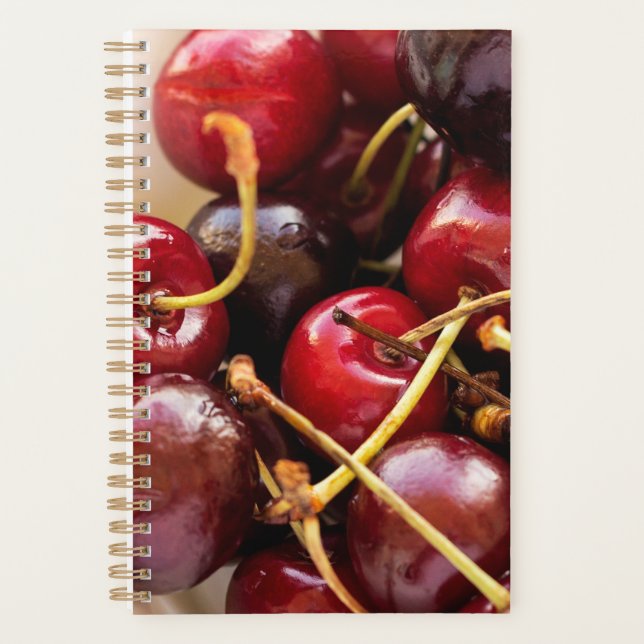 bowl of Cherries Planner (Front)