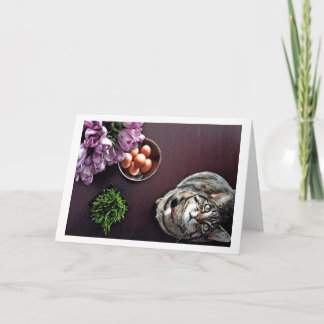 Bowl of eggs. Snapshot 2 Holiday Card