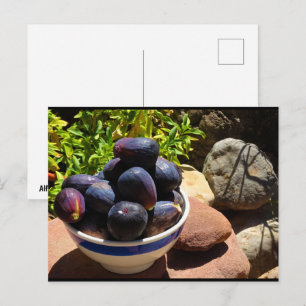 Bowl of Fig Fruit on Stone Postcard